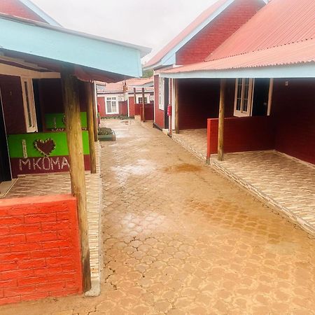 Mkomazi Hotels And Camps Hegoma 외부 사진