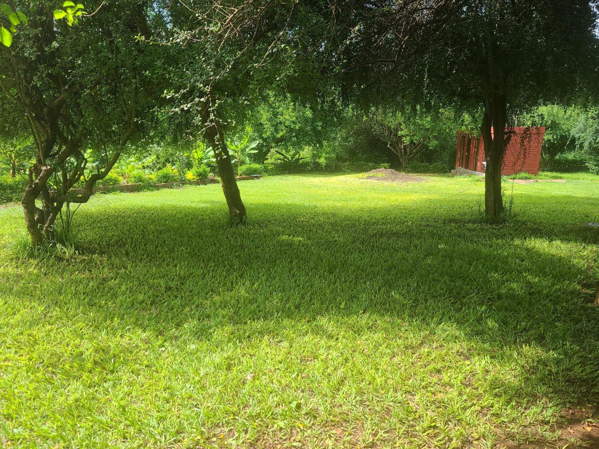 Mkomazi Hotels And Camps Hegoma 외부 사진