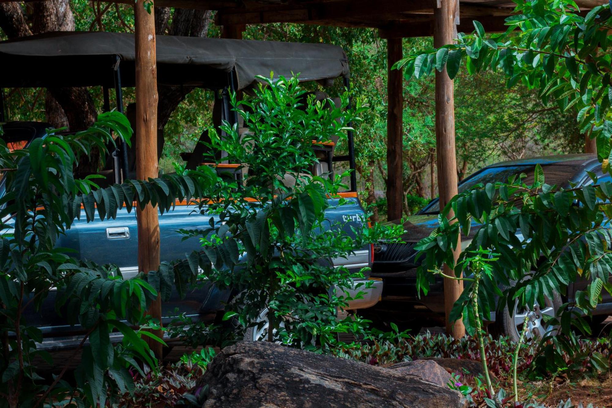 Mkomazi Hotels And Camps Hegoma 외부 사진